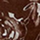 https://img.ltwebstatic.com/images3_pi/2024/03/18/85/1710740256c152617256c15fd10bc458bc15bc968d.jpg