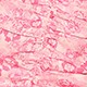 https://img.ltwebstatic.com/images3_pi/2024/04/30/4f/17144091266b5348da8556fbaae7f8005066b40cff.jpg