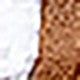 https://img.ltwebstatic.com/images3_spmp/2024/06/14/5c/1718299266e6692b53bd8d5c3c69406958e5ea40b0.jpg
