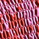 https://img.ltwebstatic.com/images3_pi/2024/06/14/ef/1718330141ca1ca9f8b6f36ee158ed05daa3854344.jpg
