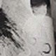 https://img.ltwebstatic.com/images3_pi/2024/08/22/d3/1724339437a97be1c4086470cffa2fc7362b79c3e4.jpg