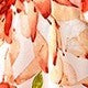 https://img.ltwebstatic.com/images3_spmp/2025/02/28/4d/1740726439e43a6cba3abab6d283e5aee59a65d8cc_wk_1741078853.jpg