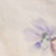 https://img.ltwebstatic.com/images3_pi/2025/03/12/7b/17417115742b131f09bbc7095ccb95827e27698d22.jpg