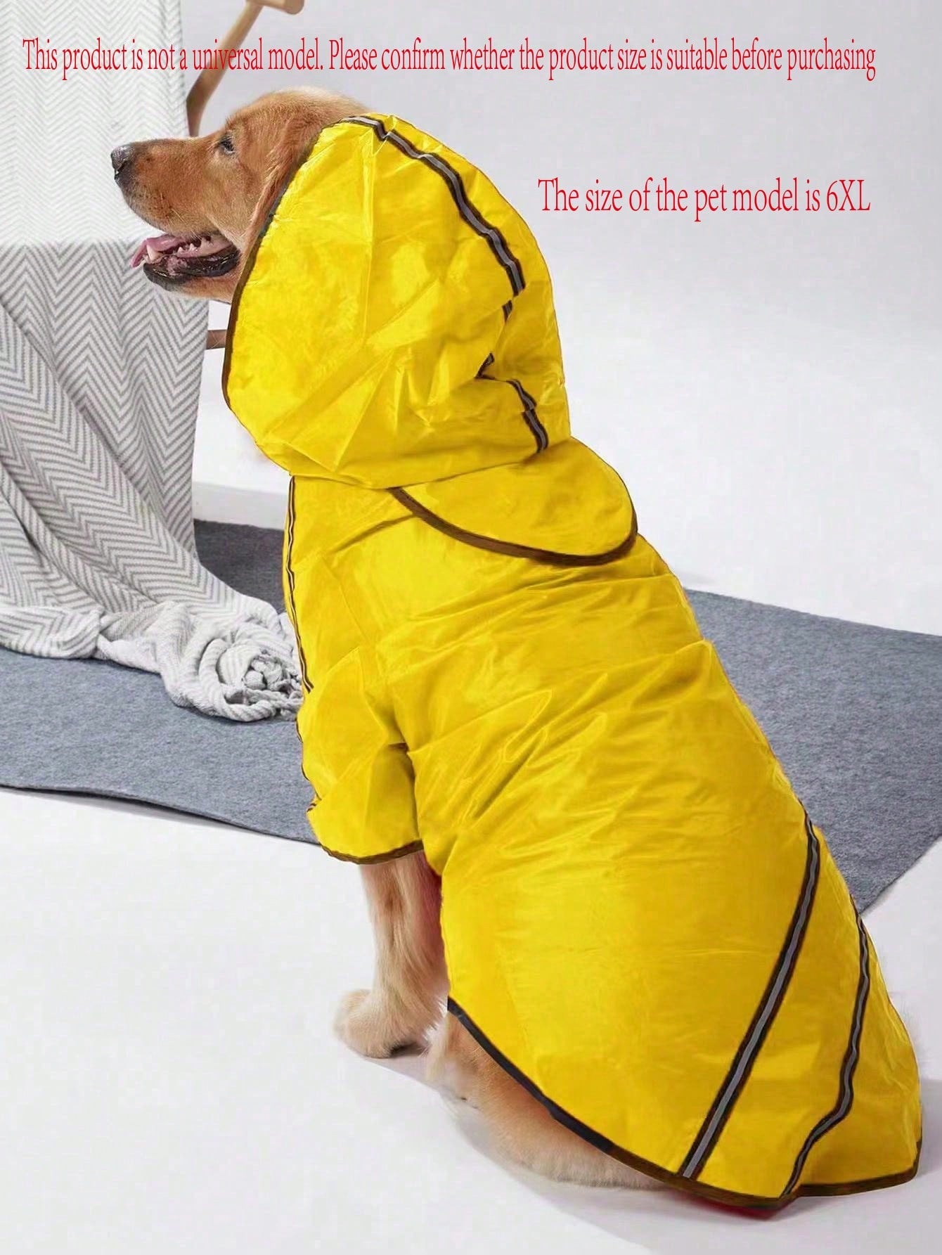https://img.ltwebstatic.com/v4/j/spmp/2025/03/21/38/1742527834221acfe6ac820ed8fe0cb5560cfde69e.jpg