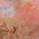 https://img.ltwebstatic.com/v4/j/pi/2025/04/11/13/174430257803ac7152ea2931751beecf512c0e0e57.jpg