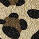 https://img.ltwebstatic.com/v4/j/pi/2025/04/15/f2/1744695421cd7a046accfc04c4dd21bb857a123173.jpg