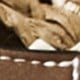 https://img.ltwebstatic.com/v4/j/pi/2025/04/15/b4/1744695449e60d97a739aea33003ca40cfc8438fb6.jpg