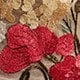 https://img.ltwebstatic.com/v4/j/pi/2025/06/06/cd/174922441874b2b81040c6ed89705ba1a0f11d30d2.jpg