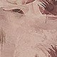https://img.ltwebstatic.com/images3_pi/2024/02/18/11/1708224728836f7542c5cdf5515722f5b2bdc45ccd.jpg