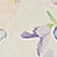 https://img.ltwebstatic.com/images3_pi/2024/04/10/ba/17126800880444e1afb57d015d5b827da66cc9bc26.jpg