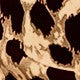 https://img.ltwebstatic.com/images3_pi/2024/07/30/fe/1722317507defa5769a4c235b96aaf07c566bdc8c3.jpg