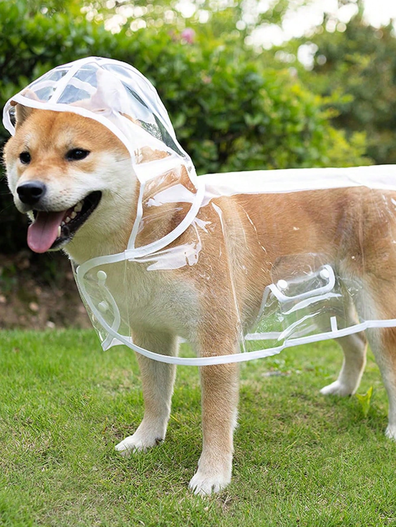 https://img.ltwebstatic.com/images3_spmp/2024/10/08/e9/17283817668276a857a70b8057040d68c575de2071.jpg