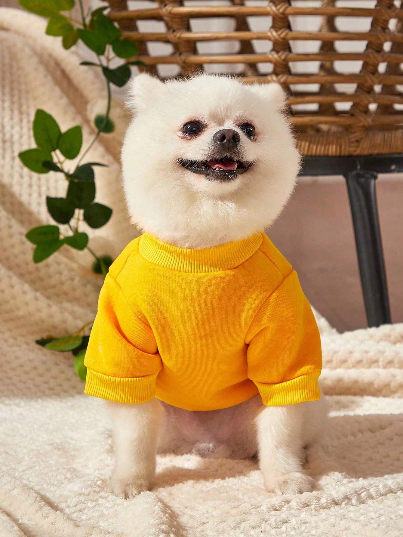 https://img.ltwebstatic.com/images3_pi/2024/11/08/e1/17310481325f0229f0f3be6525e622c2bc83f44edd.jpg