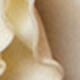 https://img.ltwebstatic.com/images3_pi/2025/03/11/e9/1741695781b05033d42df2d9cb3207abcc7cfb5026.jpg