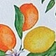 https://img.ltwebstatic.com/images3_pi/2025/03/14/ce/1741948619291ebe2c3f81214e427ebd5523af953e.jpg