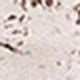 https://img.ltwebstatic.com/images3_pi/2025/03/21/6a/1742555357994b6a7b732486d8c37ef4ed9d27eb66.jpg