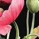 https://img.ltwebstatic.com/images3_pi/2025/03/31/2f/1743386705c56be66dc2c3a8c23ab0d8710fc2fab3.jpg