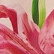https://img.ltwebstatic.com/images3_pi/2025/04/01/9d/1743486721b3edf159af4416067c293d83c86f773f.jpg