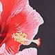 https://img.ltwebstatic.com/v4/j/pi/2025/05/13/2a/17471348792c0b49da81b4a14e2eee4d9997dd396b.jpg