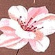 https://img.ltwebstatic.com/v4/j/pi/2025/05/19/a3/174762181187954529ef7735076f6e3d926193cae0.jpg