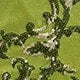 https://img.ltwebstatic.com/v4/j/pi/2025/05/27/0e/174833972095792484f4386f64b8fcbbae90ff6294.jpg