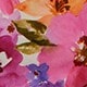 https://img.ltwebstatic.com/v4/j/pi/2025/05/30/4f/1748535465415d7739ebcc1dcf1c77f567f8c67b8d.jpg
